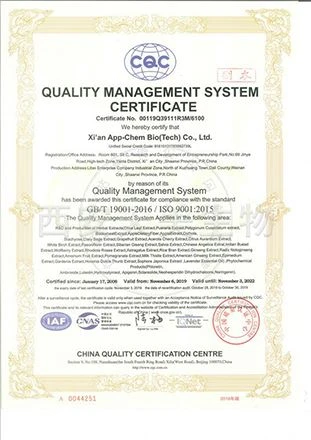 ISO9001