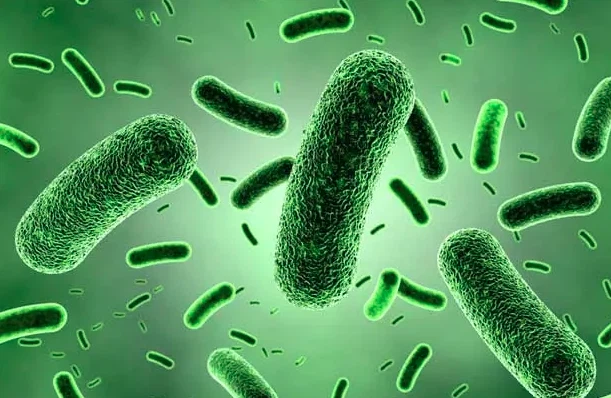 _20221220085643 _20221220085643