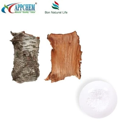 Betulin Powder 95
