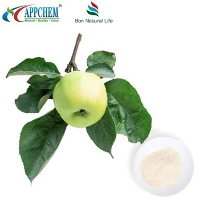Naturlig Phloretin Pulver