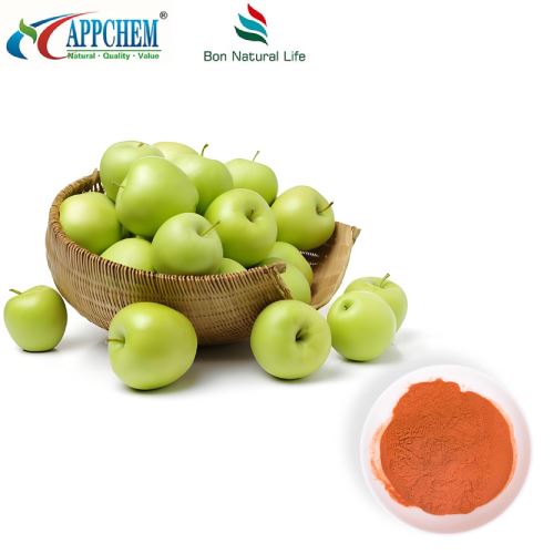 AGA Hair Health Ingrediens Apple Polyphenols Pulver