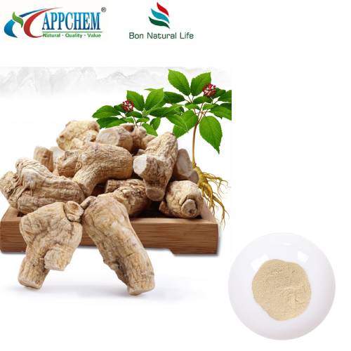 Amerikansk ginseng ekstrakt pulver