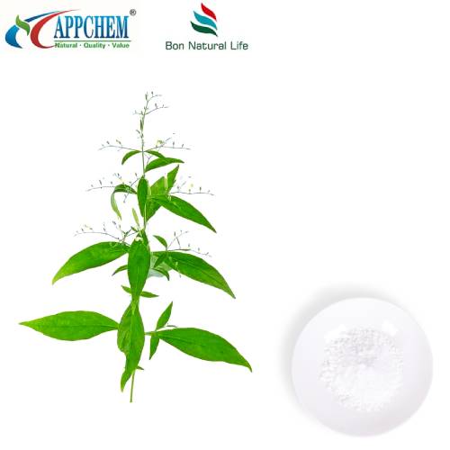 Andrographis Paniculata-ekstrakt Andrographolide