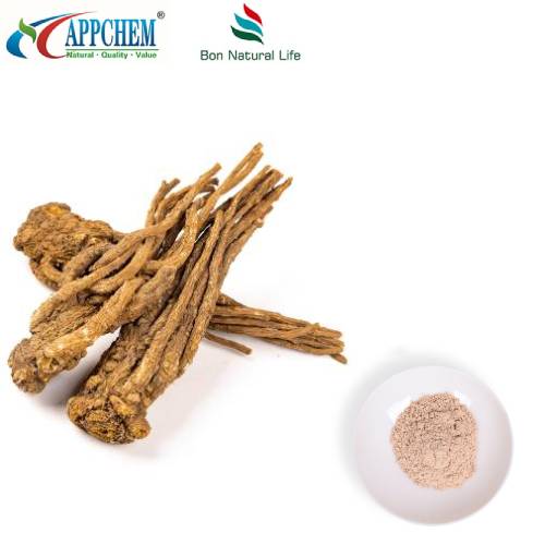 Angelica Sinensis ekstraktpulver