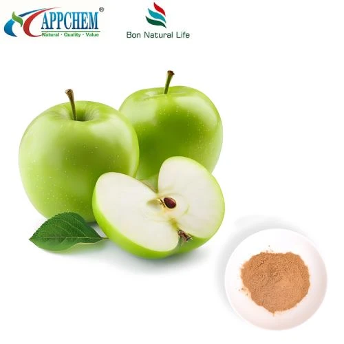 Epleekstrakt Procyanidin B2 HPLC Test 29106-49-8