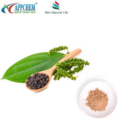 Ligustrum fruktekstraktpulver