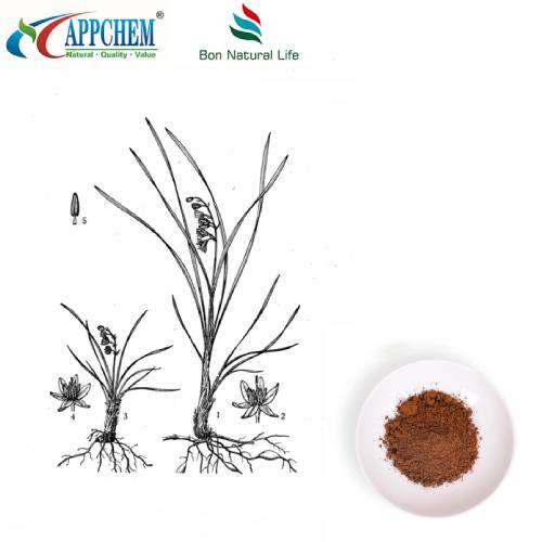 Lilyturf Root Ekstrakt