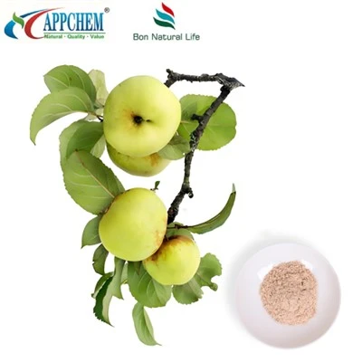 Phlorizin pulver