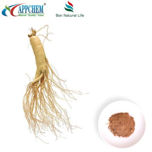 Panax Ginseng-ekstraktpulver