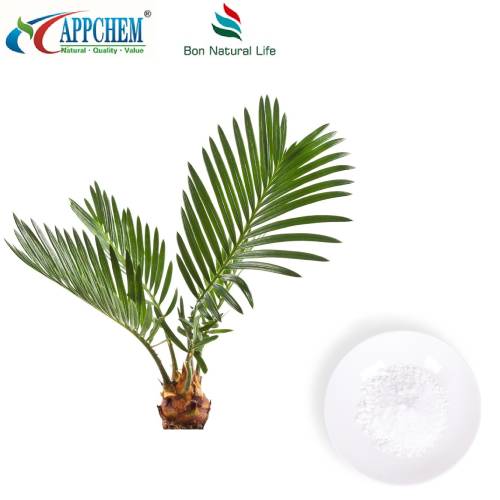 Saw Palmetto-ekstraktpulver
