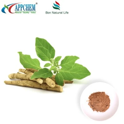 Ashwagandha Extract Powder (Withanolides) Produksjon 30655-48-2