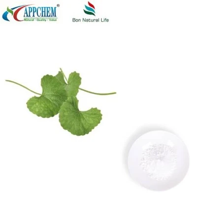 Centella Asiatica ekstraktpulver