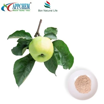 Kosmetiske ingredienser Phloretin 60-82-2