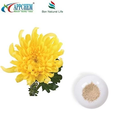 Flos Chrysanthemi ekstraktpulver