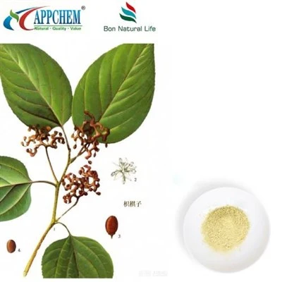 Hovenia Dulcis ekstraktpulver