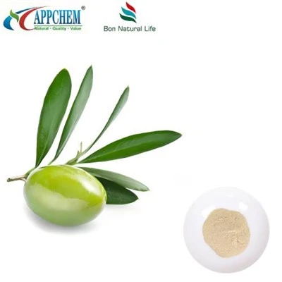 Hydroxytyrosol pulver