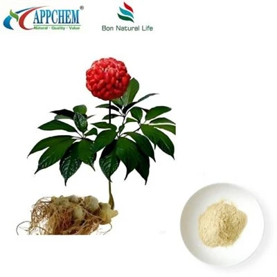 Notoginseng rotekstrakt