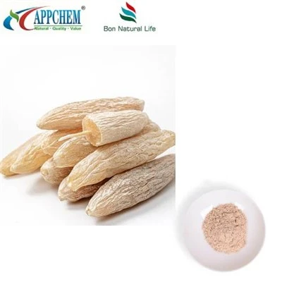 Ophiopogon Root Extract Pulver