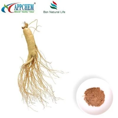 Panax Ginseng-ekstraktpulver