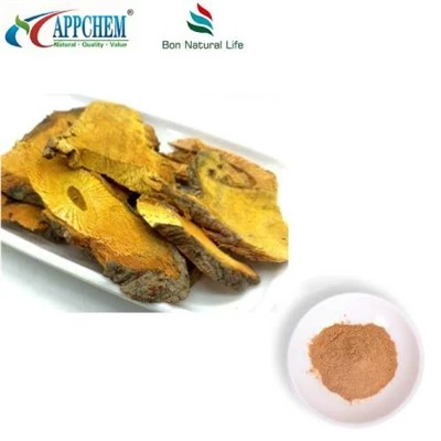 Resveratrol Polygonum Cuspidatum ekstraktpulver